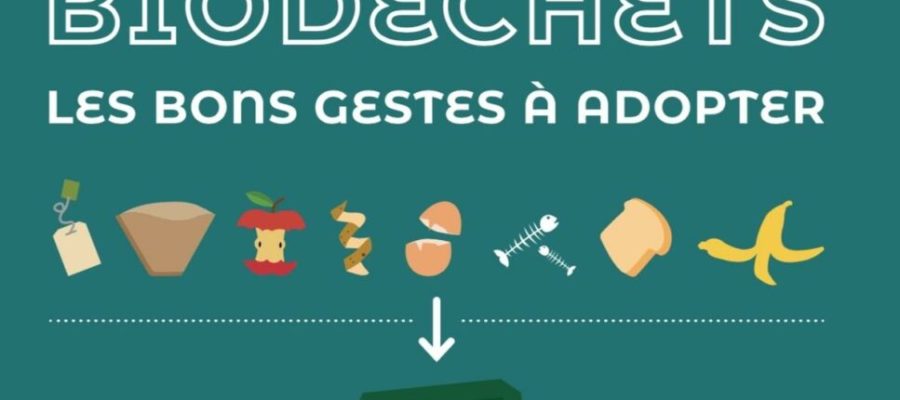 Calendrier Smicval 2023 Archives Des Actualités Et Références - Page 5 À 22 - Aggelos