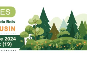 Avec Fibois NA : la mise en oeuvre d'un espace de dialogue