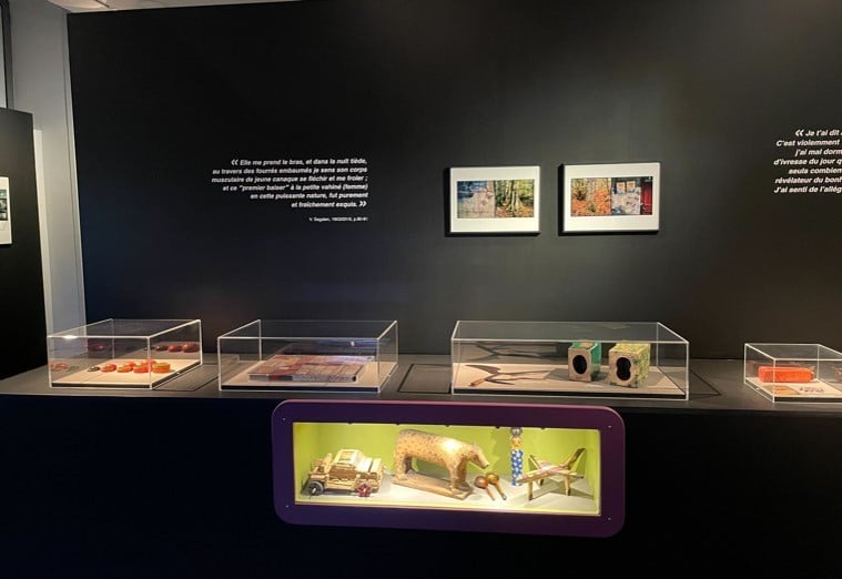 Exposition du MEB réalisée par l’Atelier Eugène!, de l'Écosphère Aggelos