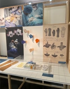 Exposition du MEB réalisée par l’Atelier Eugène!, de l'Écosphère Aggelos