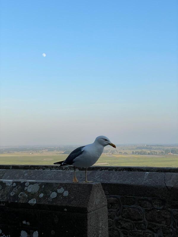 visite virtuelle Mont-Saint-Michel