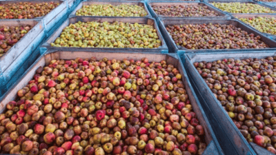 De la plume à la pomme : la RSE, cette évidence naturelle !