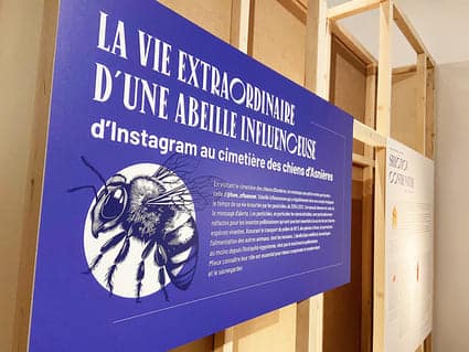 Nommer le vivant : interroger notre manière de dire et d’habiter le monde