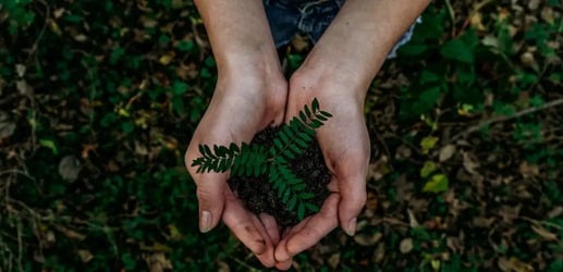 Comment Kedge intègre la RSE dans ses formations et son organisation