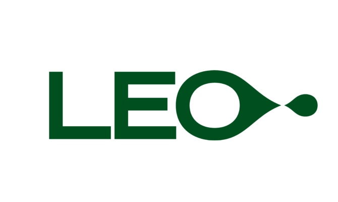 Stratégie de communication : le cas Léo accompagné par Aggelos